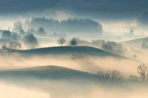 Fogs and cloud cover