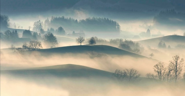 Fogs and cloud cover